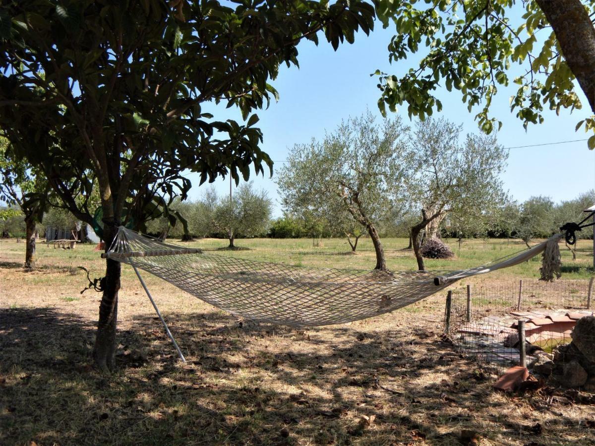 Pensjonat Podere San Guglielmo Sarteano Zewnętrze zdjęcie