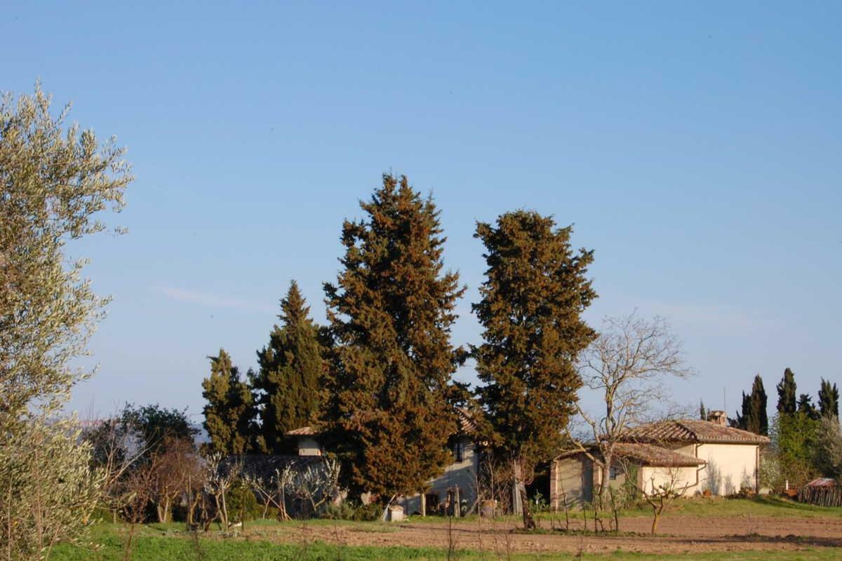 Pensjonat Podere San Guglielmo Sarteano Zewnętrze zdjęcie